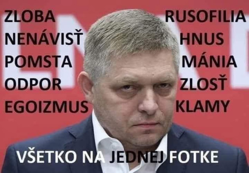 Príspevok 222480