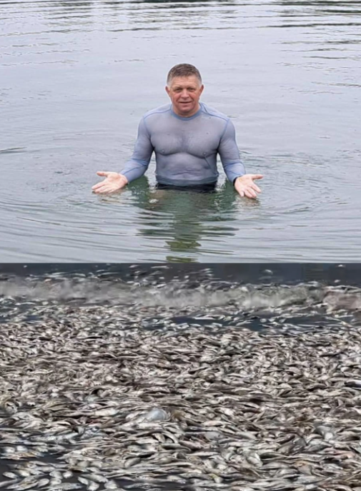 Ekologická katastrofa